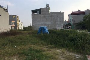 Chính chủ bán đất liền kề Thanh Lương, ô tô đỗ cửa 1 tỷ 450